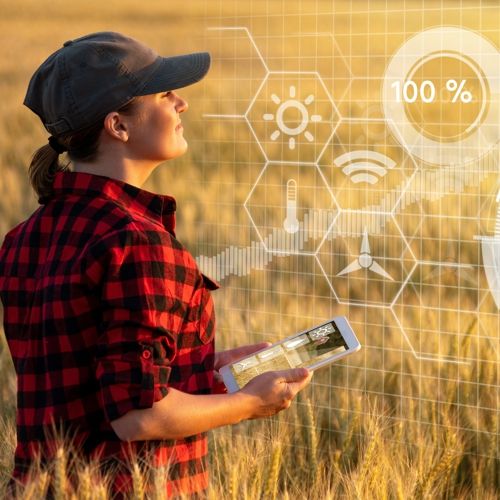 Optimización de recursos Optimización de recursos