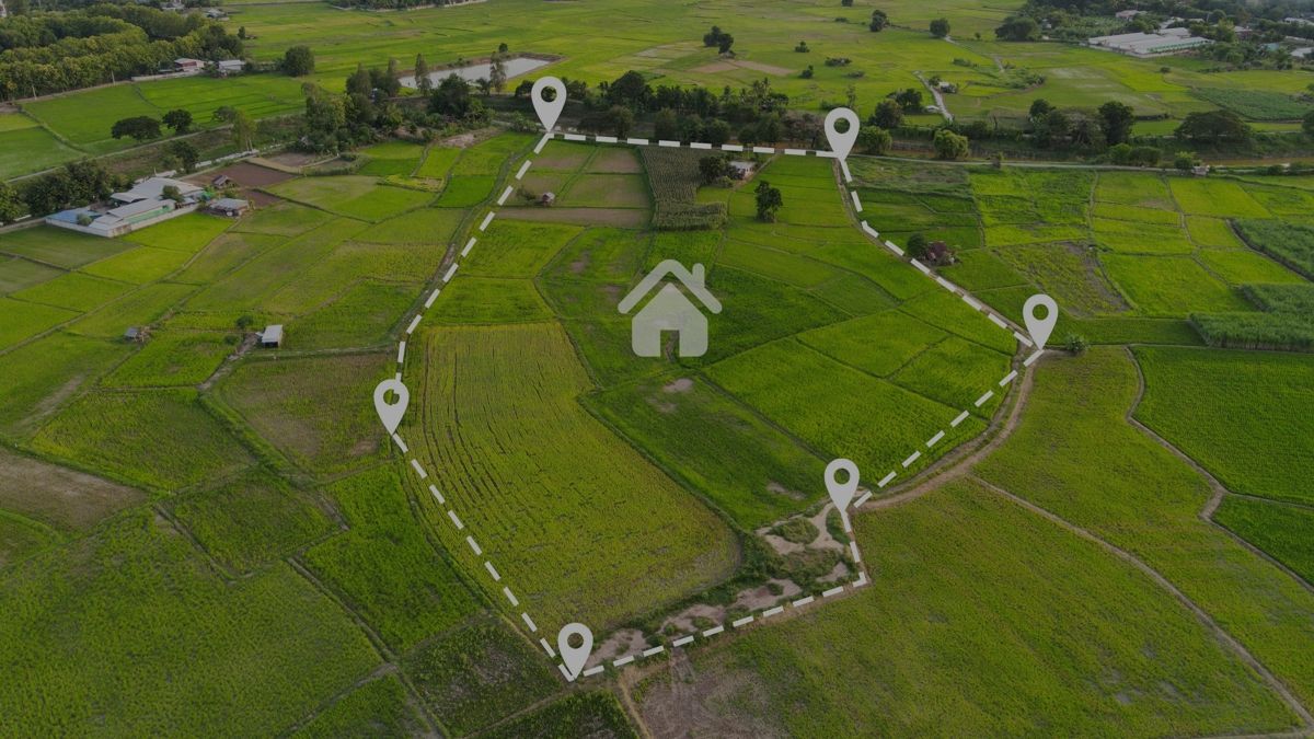 segregación de fincas