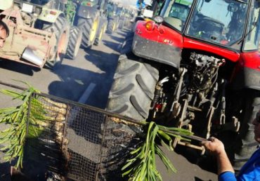 Suspensión del barbecho en 2024. Bruselas da un alivio a los agricultores