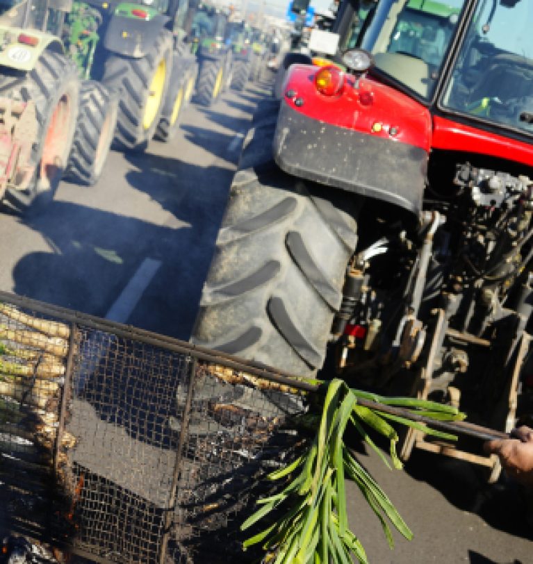 Suspensión del barbecho en 2024. Bruselas da un alivio a los agricultores